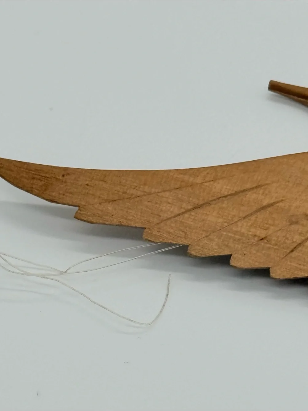 The Unbranded Brand asian crane